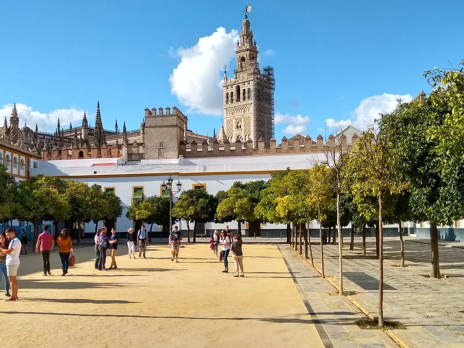 La plaza del Patio de Banderas, de albero y con naranjos, con una farola en el centro y la Giralda al fondo.