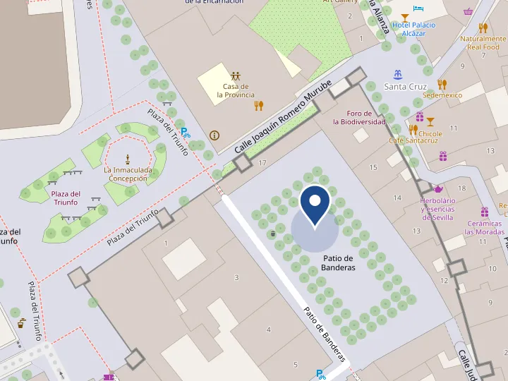 Mapa: el punto de encuentro está en la plaza del Patio de Banderas, junto a la Plaza del Triunfo.